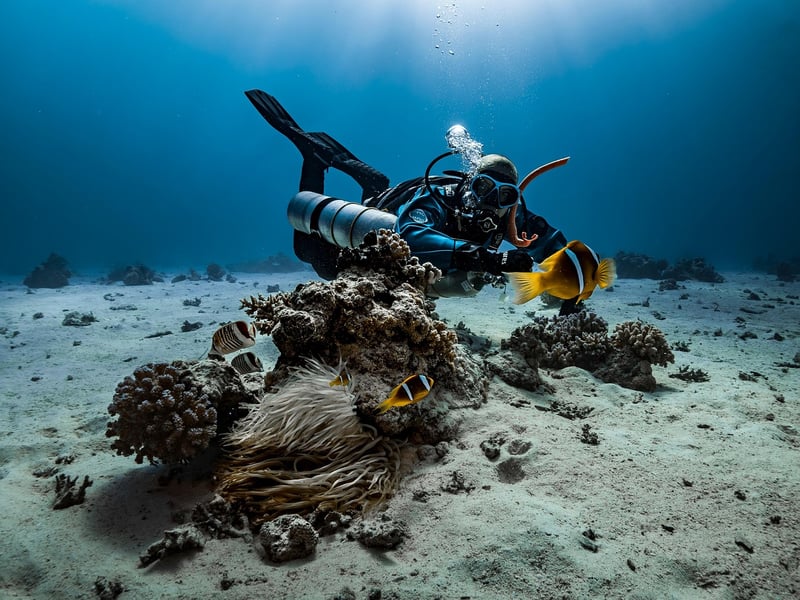 Diving Gear